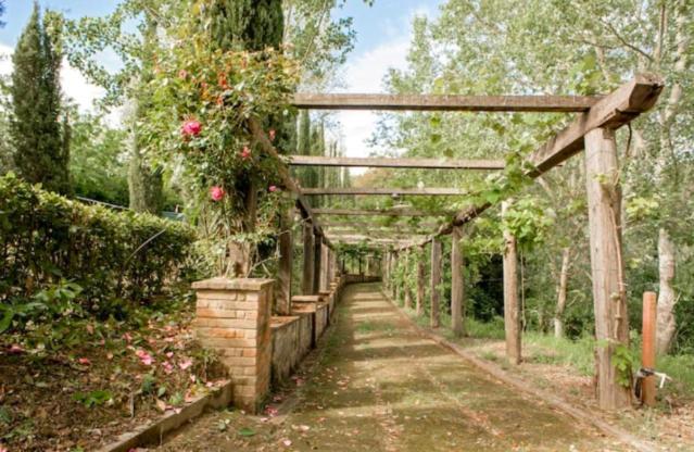 Fattoria Uccelliera Holiday home